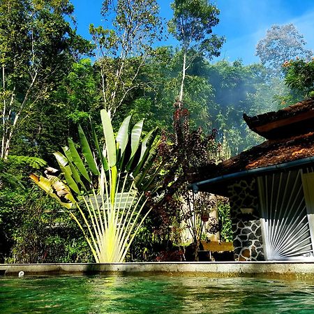 Hotel Mi Casa - The Gem Of Ijen Banyuwangi  Zewnętrze zdjęcie