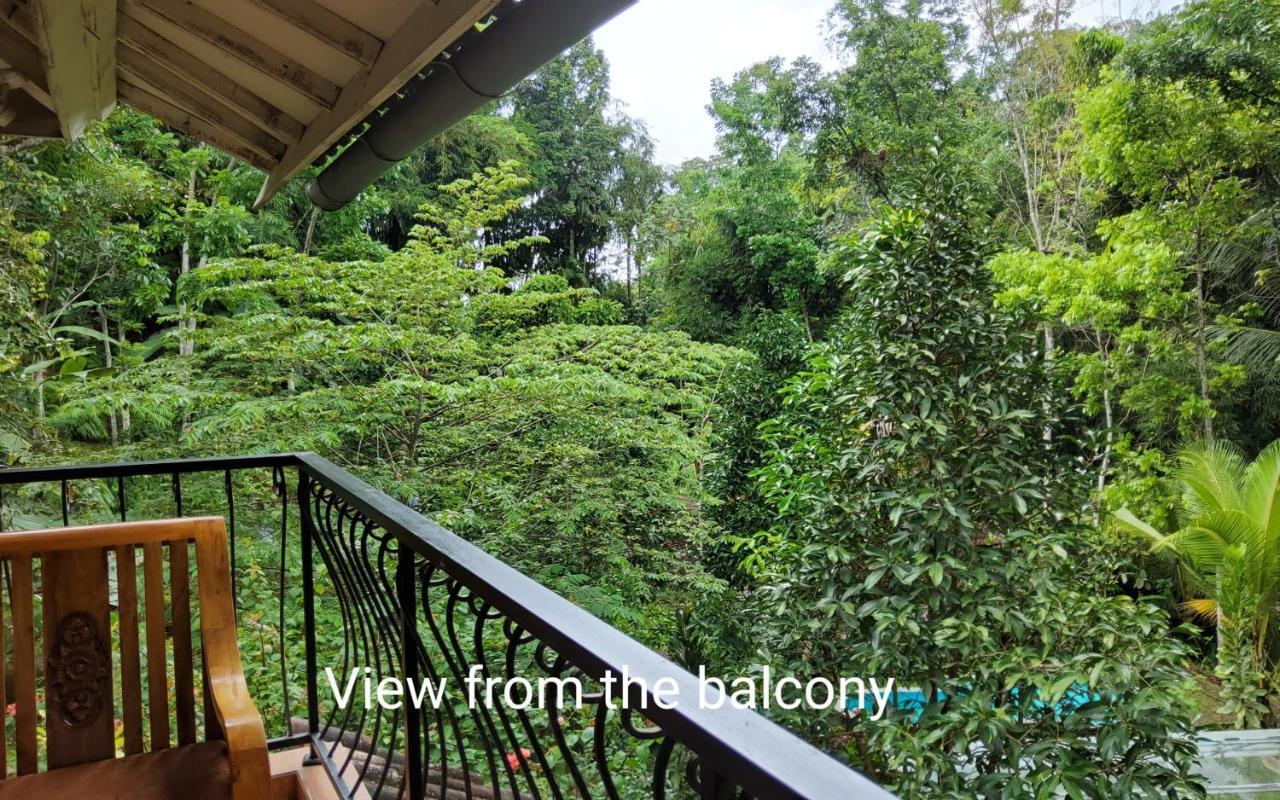 Hotel Mi Casa - The Gem Of Ijen Banyuwangi  Zewnętrze zdjęcie