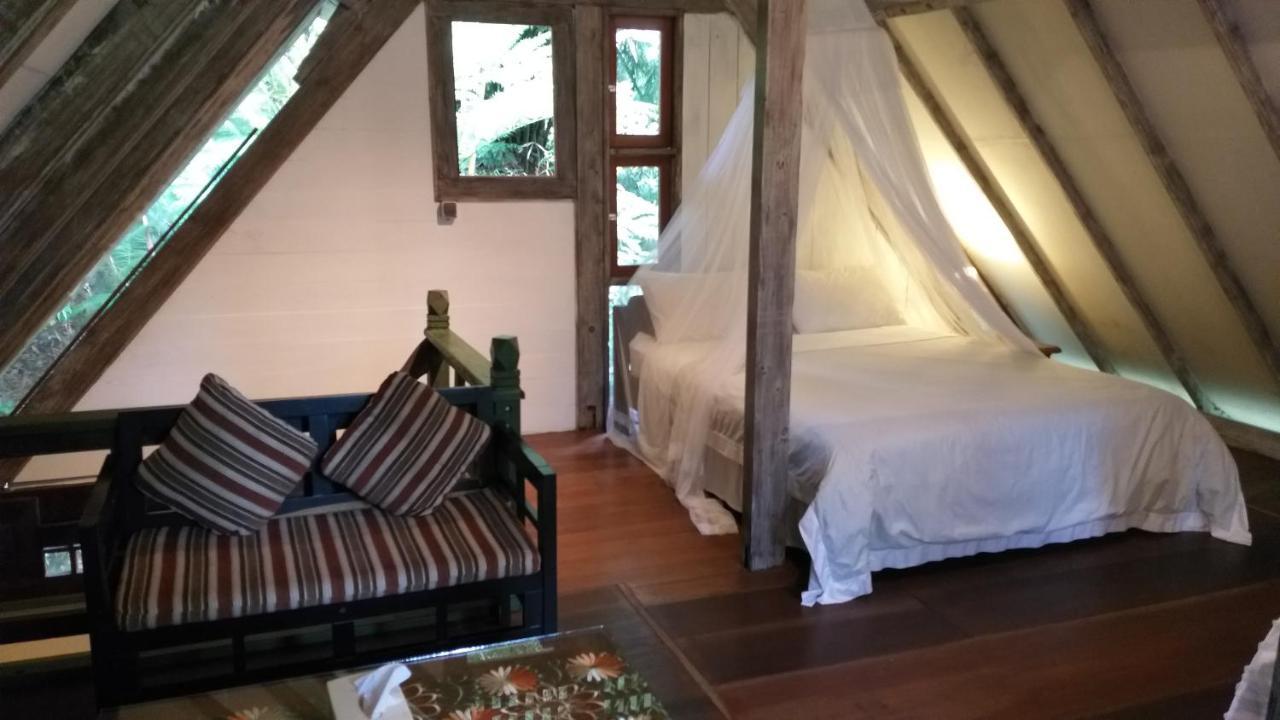 Hotel Mi Casa - The Gem Of Ijen Banyuwangi  Zewnętrze zdjęcie