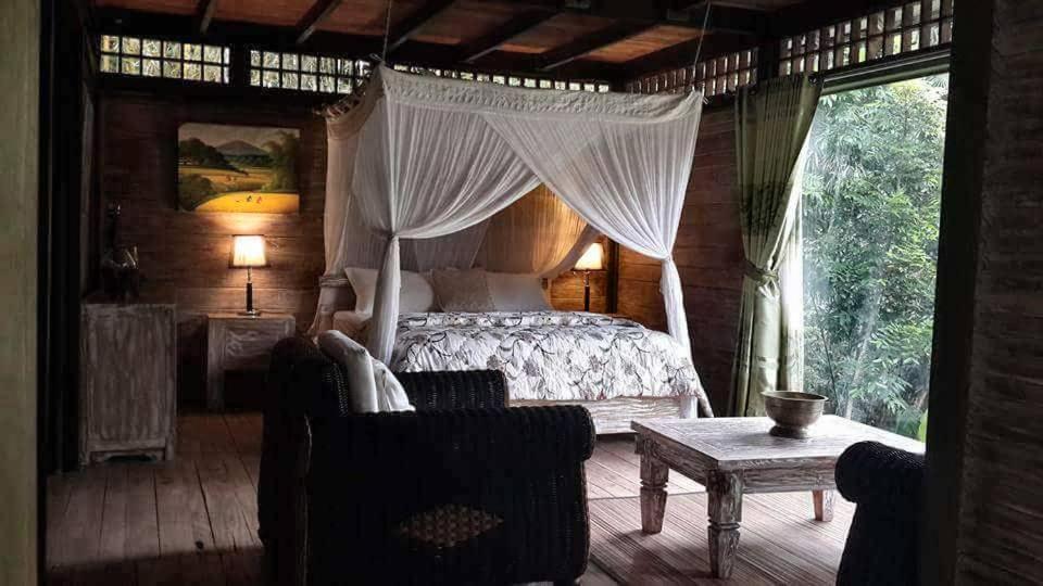 Hotel Mi Casa - The Gem Of Ijen Banyuwangi  Zewnętrze zdjęcie