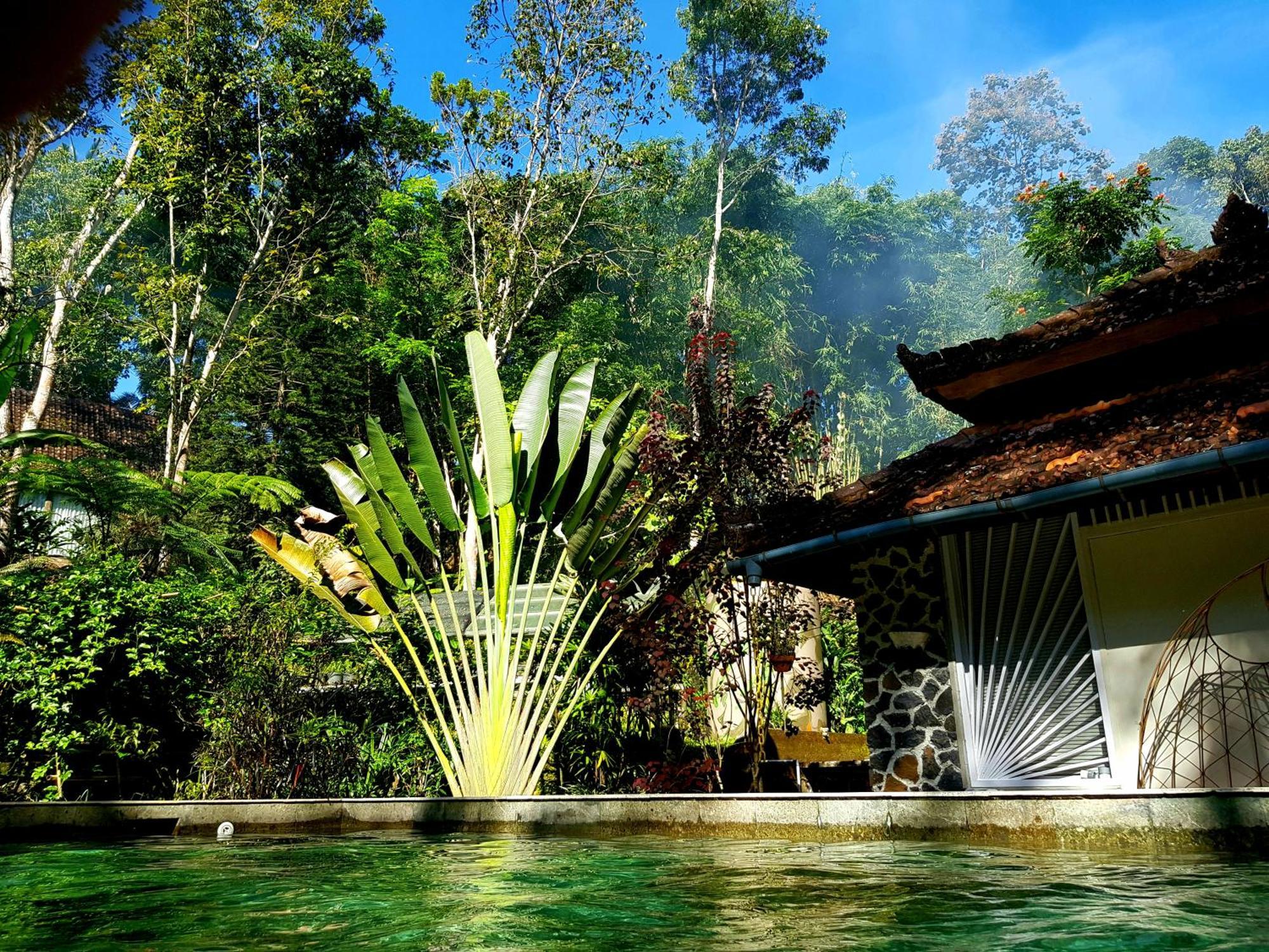 Hotel Mi Casa - The Gem Of Ijen Banyuwangi  Zewnętrze zdjęcie