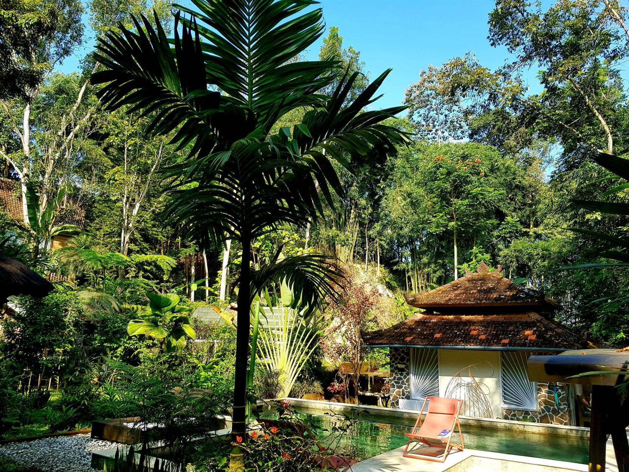 Hotel Mi Casa - The Gem Of Ijen Banyuwangi  Zewnętrze zdjęcie