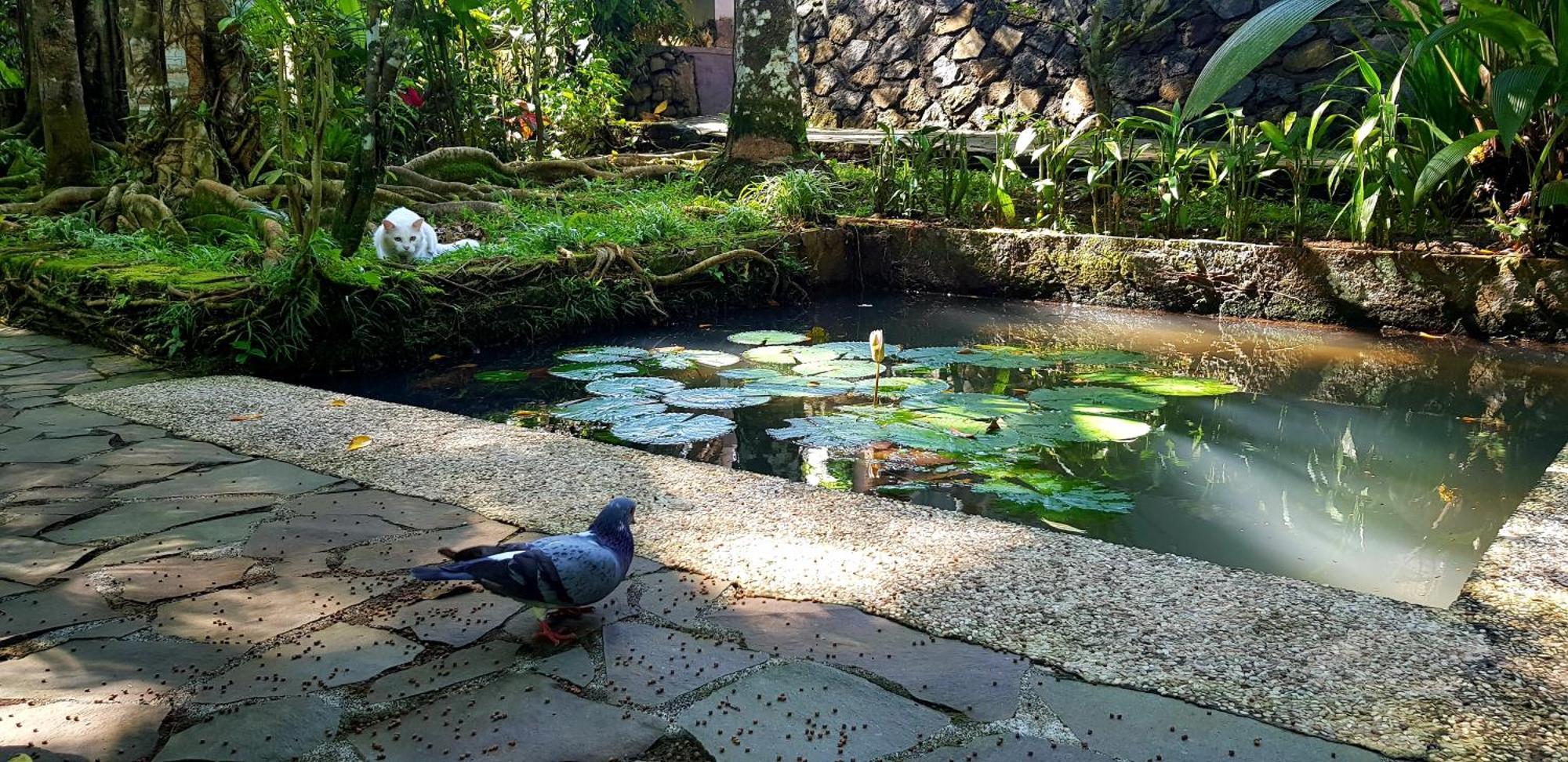 Hotel Mi Casa - The Gem Of Ijen Banyuwangi  Zewnętrze zdjęcie