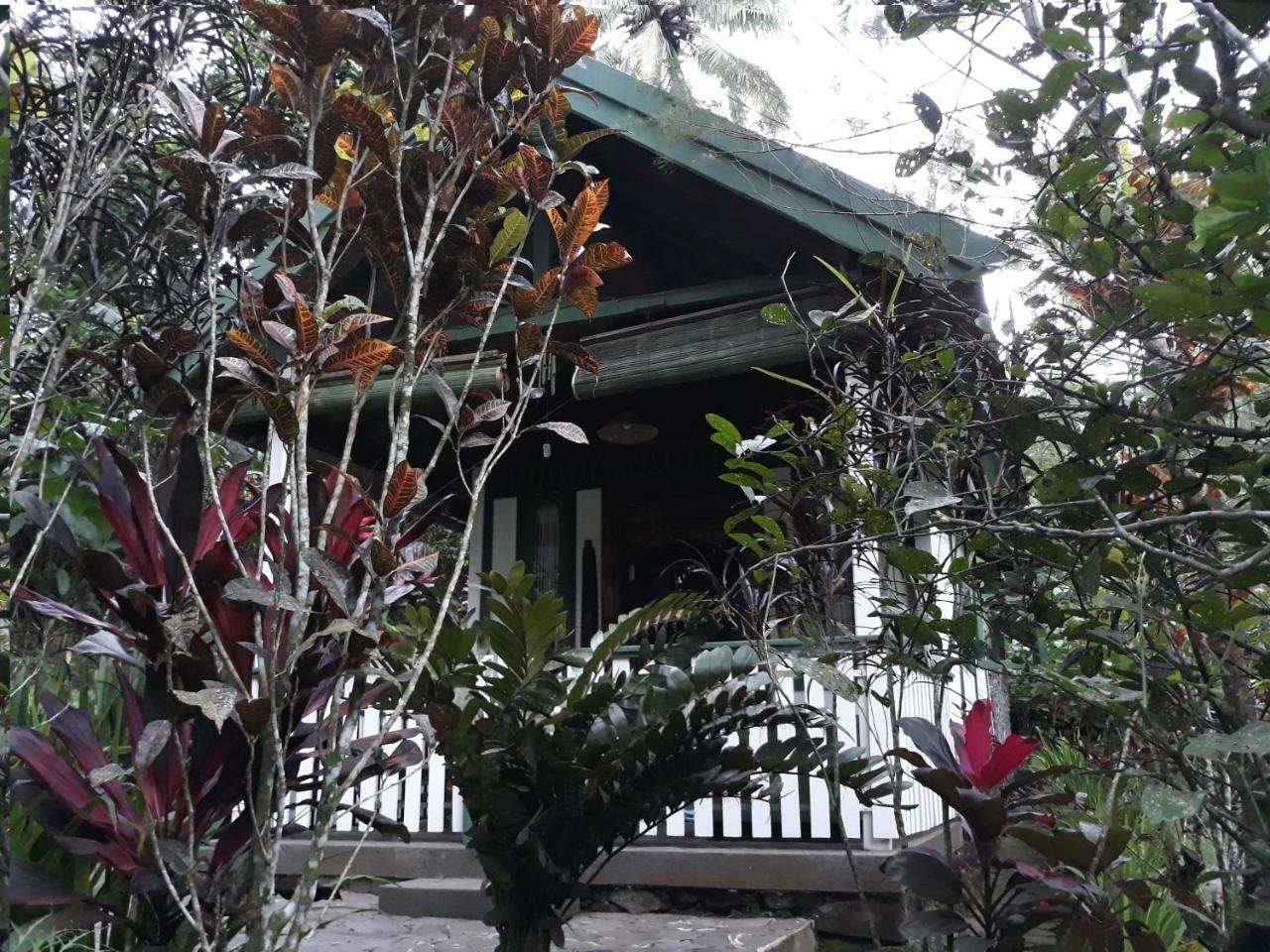 Hotel Mi Casa - The Gem Of Ijen Banyuwangi  Zewnętrze zdjęcie